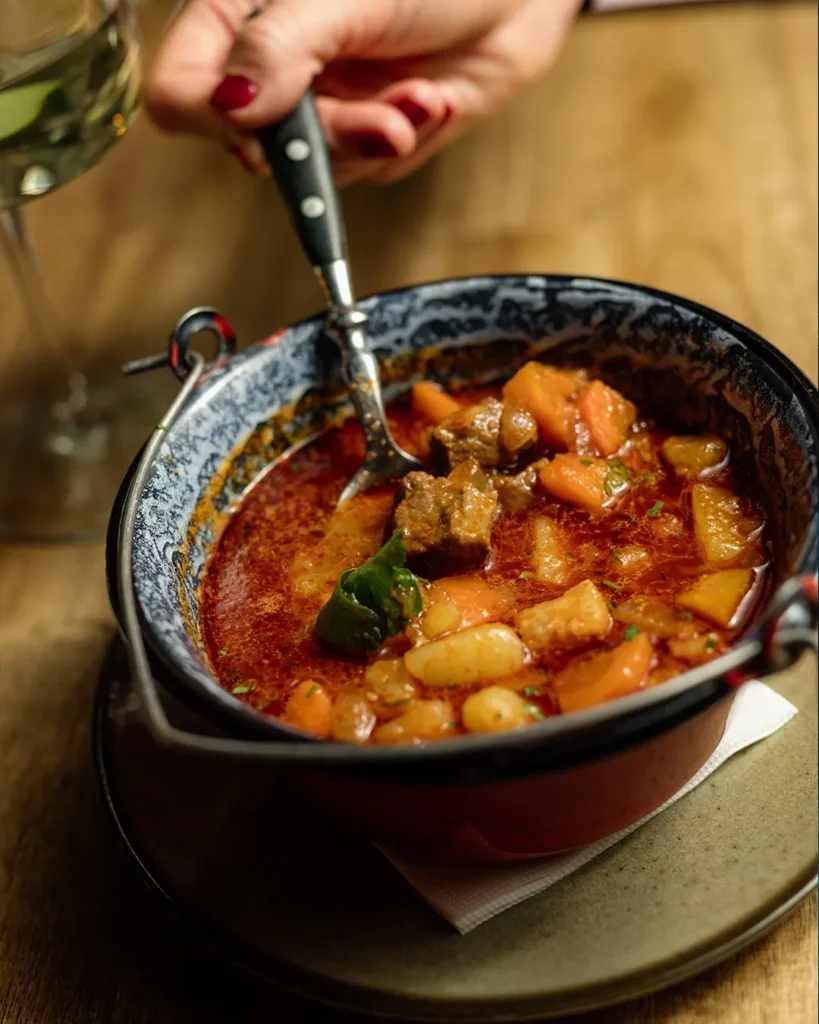 Hearty soup pot close-up with visible ingredients and ladle, used for Hungarian food search intent
